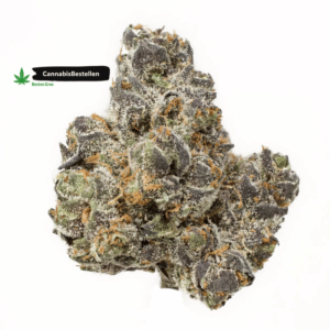 Apple Fritter Strain