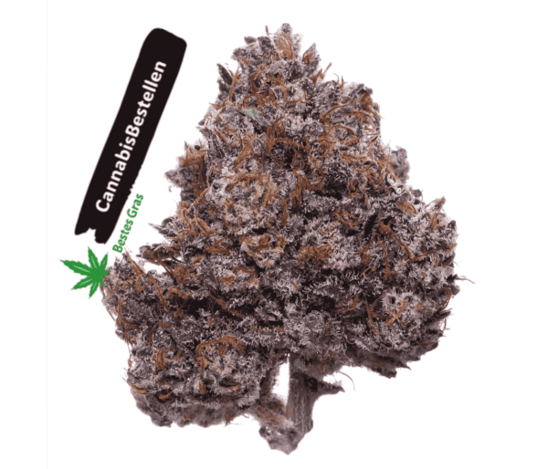 Purple Haze