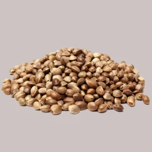 AK 47 Seeds (10 pack)