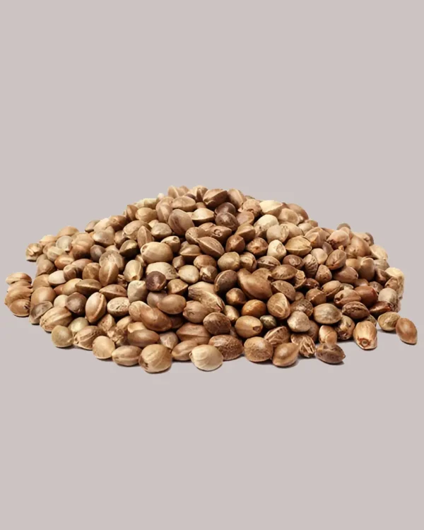 AK 47 Seeds (10 pack)