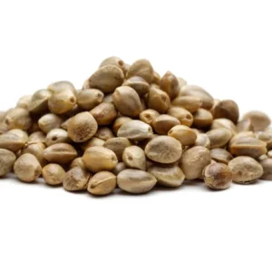 Blue Cheese Seeds (10 pack)
