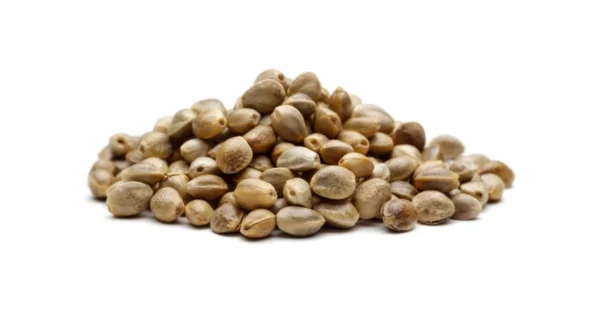 Blue Cheese Seeds (10 pack)