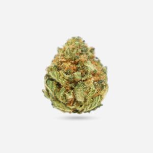 Mango Tango Indica
