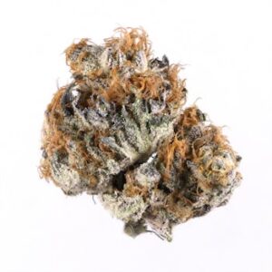 blueberry strain thc