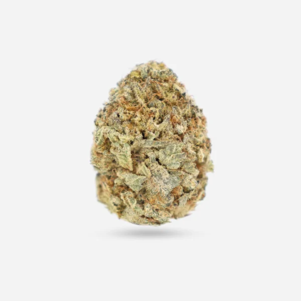 GMO Cookies Indica