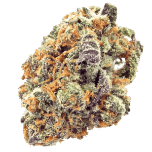 Mimosa Cannabis Strain