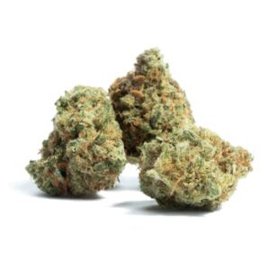Amnesia Haze Strain