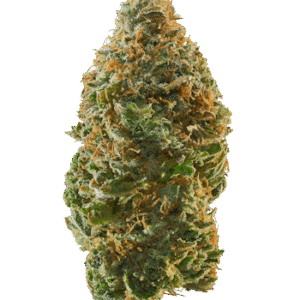 Bubba Kush Strains