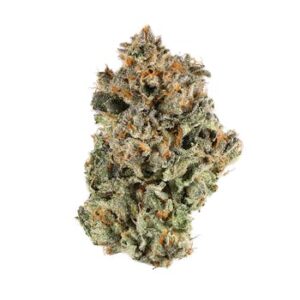 Sunset Sherbet Strain